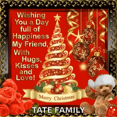 Merry Christmas Wishes Tate Family GIF