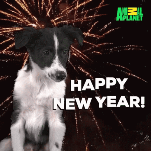 Merry New Year GIF