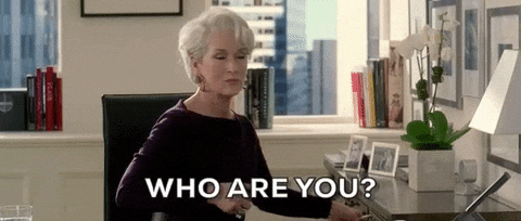 Meryl Streep Confused Miranda Priestly Who Are You GIF