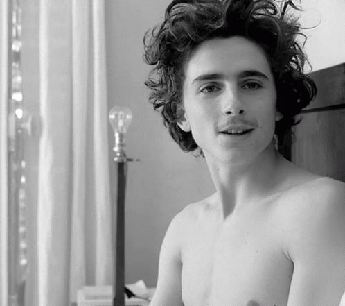 Messed Up Timothée Chalamet GIF