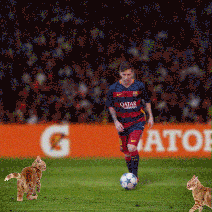 Messi Cute Cats Fighting Animation GIF