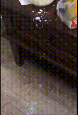 Messy Eating Gray Cat GIF