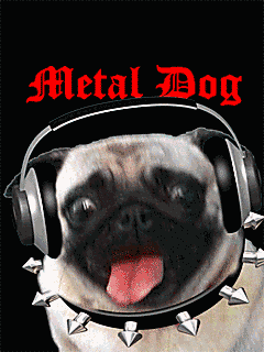 Metal Dog Pug Headbang GIF