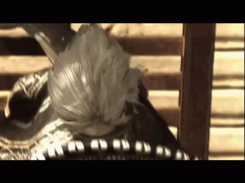 Metal Gear Raiden Adios GIF