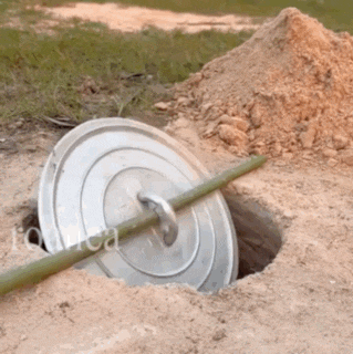 Metal Lid Sticking Out Of Dirt With Folica Visible GIF