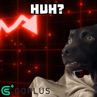 Metrics Going Down Cute Confused Dog GIF