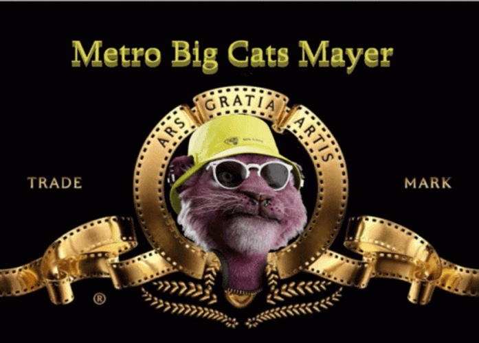 Metro Big Cats Mayer Logo GIF