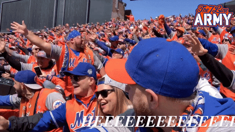 Mets Die Hard Fans Cheering GIF