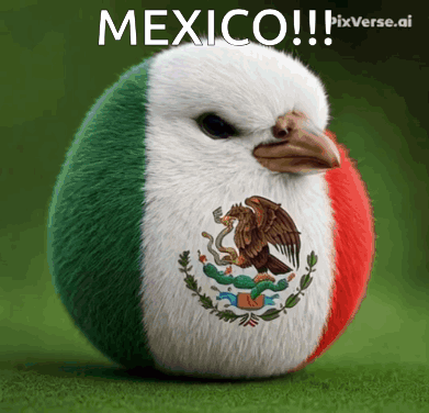 Mexican Flag Bird Saying Mexico