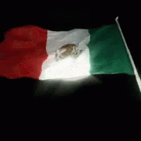 Mexican Flag Flying in Dark