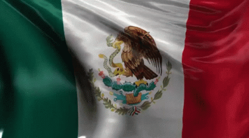 Mexican Flag With Eagle