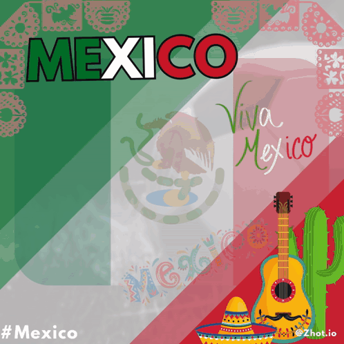 Mexican Flag With Guitar Sombrero and Cactus