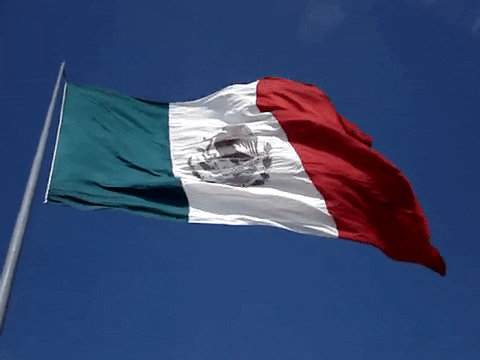 Mexico Banner Flag GIF