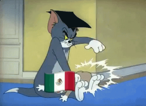 Mexico Brazil GIF