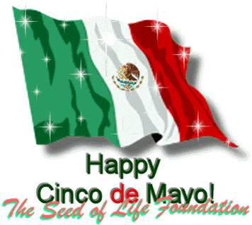 Mexico Flag Cinco De Mayo GIF
