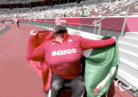 Mexico Flag Girl On Wheelchair GIF