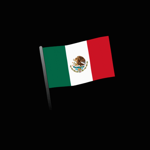 Mexico Flag La Libertad GIF