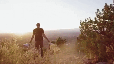 Mexico Flag The New State GIF