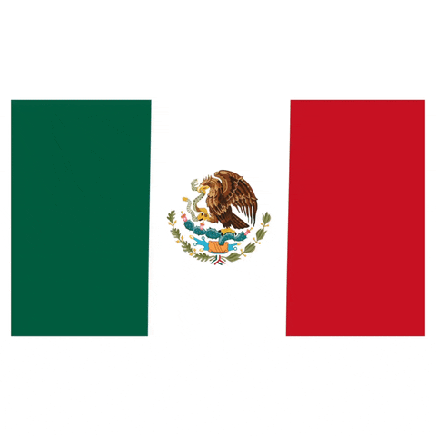 Mexico Flag Video GIF
