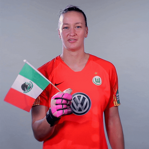 Mexico Flag Waves By Almuth Schult GIF