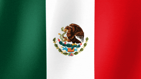 Mexico Flag Waving Smooth GIF