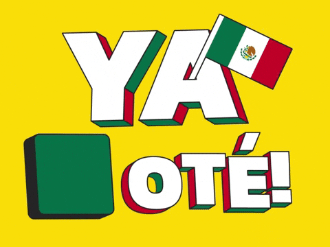 Mexico Flag Ya Vote GIF
