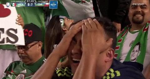 Mexico Football Fan GIF