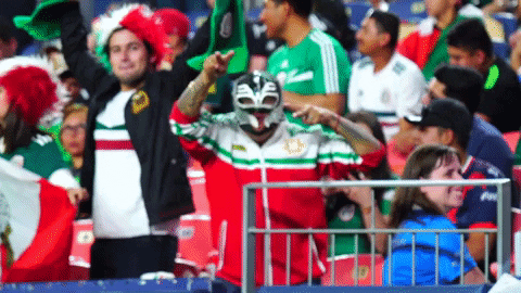 Mexico Soccer Fan Wearing Mask GIF