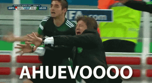 Mexico Soccer Manager Miguel Herrera Getting Wild GIF