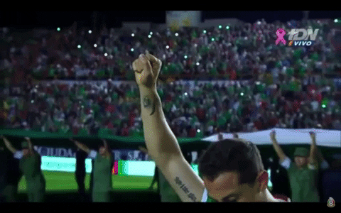 Mexico Soccer Player Raising Fist GIF