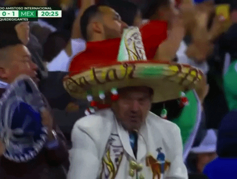 Mexico Soccer Team Fan Waving Flag GIF