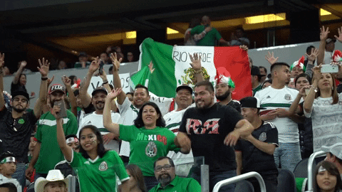 Mexico Soccer Team Fans Cheering GIF