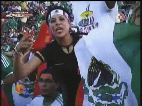 Mexico Team Soccer Fan Excited GIF