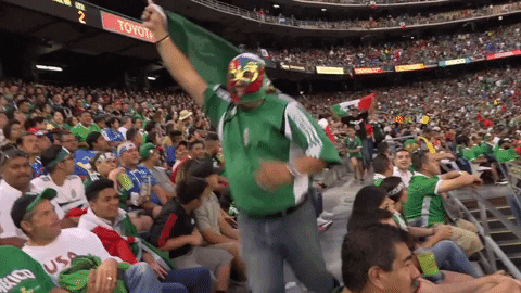 Mexico Team Soccer Fans Running With Flags GIF