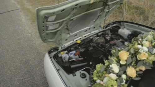 Mg Car Engine Floral Decoration GIF