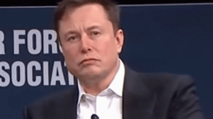 Mhmm Elon Musk GIF
