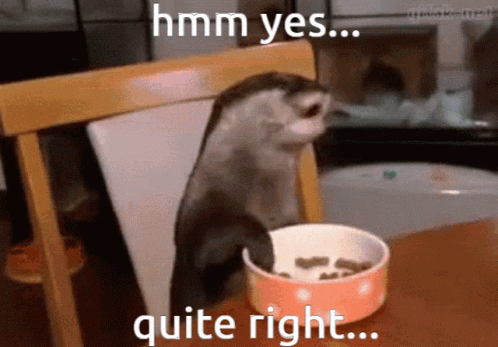 Mhmmm Ferret Enjoying The Food GIF