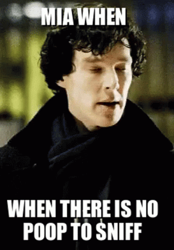 Mia When No Poop To Sniff Meme GIF