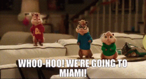 Miami Chipmunks Goes To Miami GIF