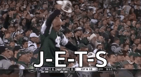 Miami Dolphins Mascot Standing Upside Down GIF