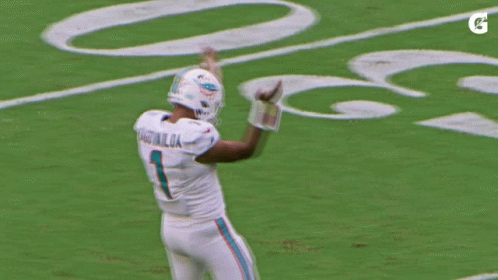Miami Dolphins Player Dancing GIF