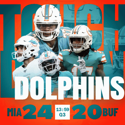 Miami Dolphins Touchdown GIF