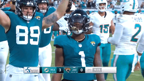 Miami Dolphins Vs Jacksonville Jaguars Football GIF