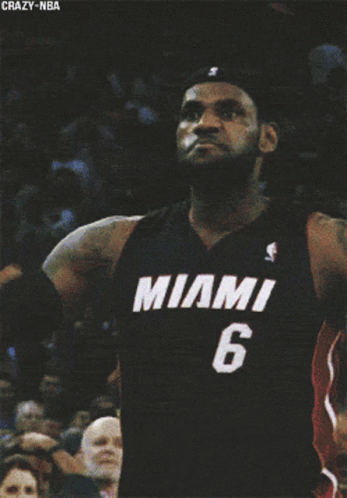 Miami Heat Proud Lebron James GIF