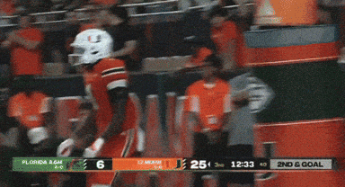 Miami Hurricanes Game End GIF