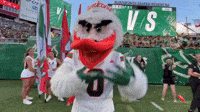 Miami Hurricanes Mascot Game Ready GIF