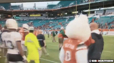 Miami Hurricanes Mascot Joins The Crowd GIF