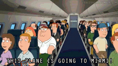 Miami Lets Rock The Plane GIF