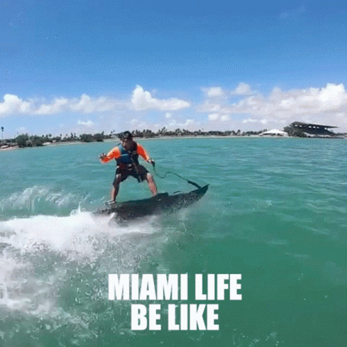Miami Man In Orange Is Surfing GIF