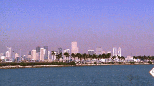 Miami Ocean View GIF